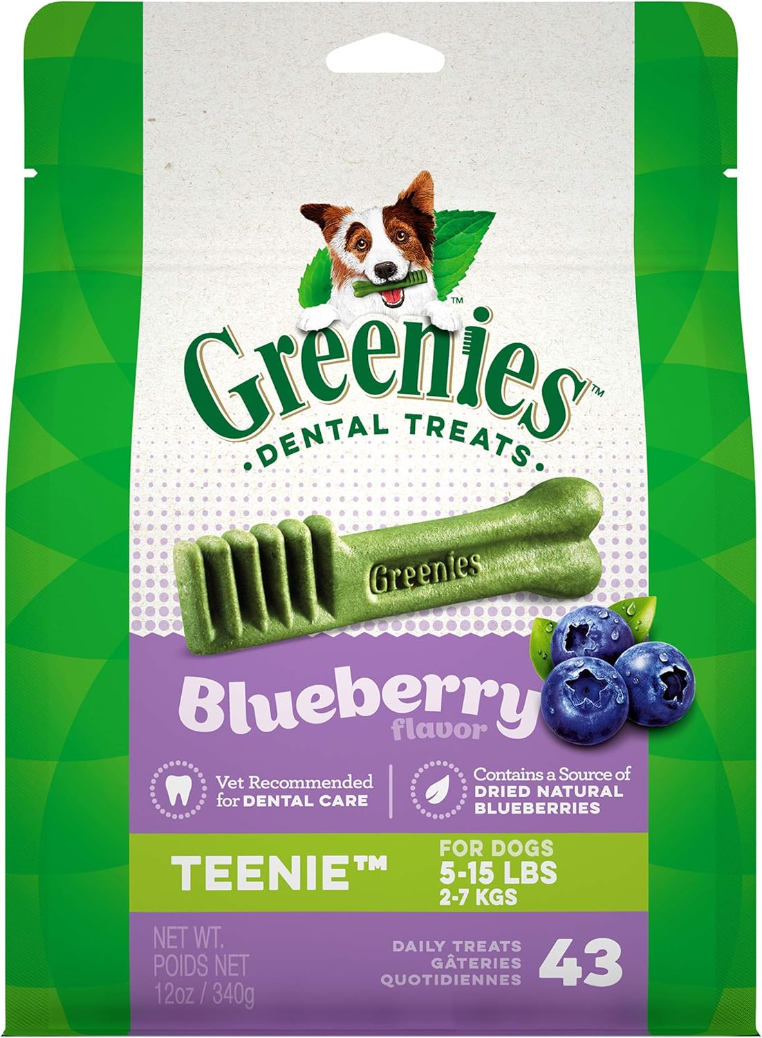 GREENIES ScaryBerry and Blueberry Natural Dental Dog Treats, 6oz & 12oz Packs : Pet Supplies