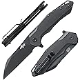 Firebird GANZO FH31 Folding Pocket Knife D2 Steel Wharncliffe Blade Ergonomic G10 Handle with Clip Hunting Fishing Flipper Camping Outdoor EDC Knife