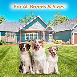Anti Barking Device for Dogs Bark Box, Rechargeable