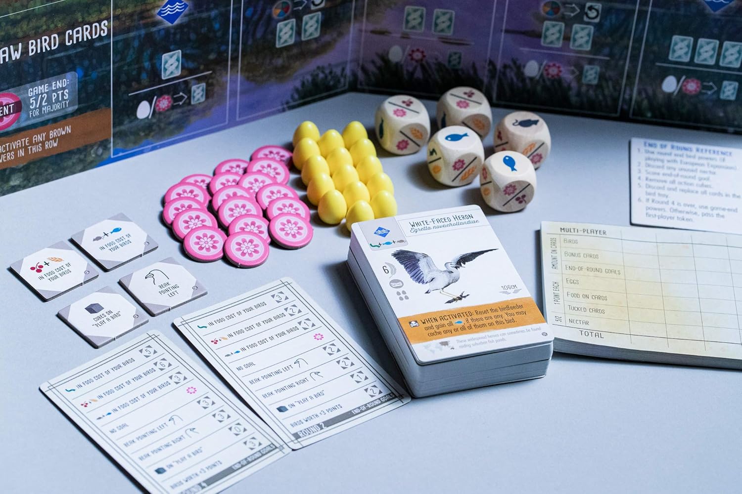 Stonemaier Games, Wingspan: Oceania Expansion, Board Game, Ages 14+, 1-5 Players, 40-70 Minute Playing Time - Image 5