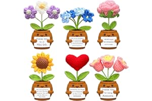 Wavwavw 6 Pcs Employee Appreciation Gifts Thank You Positive Handmade Crochet Doll with Encouraging Card for Coworker Women Men Office Staff(Flower)