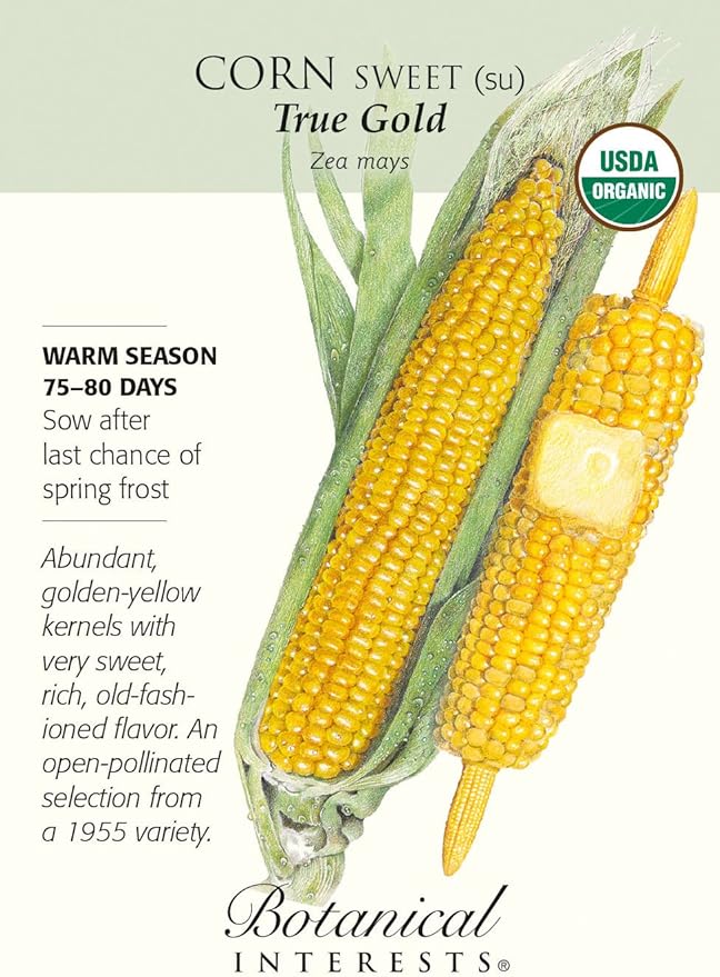 Organic True Gold Sweet Corn Seeds 9 Grams Garden