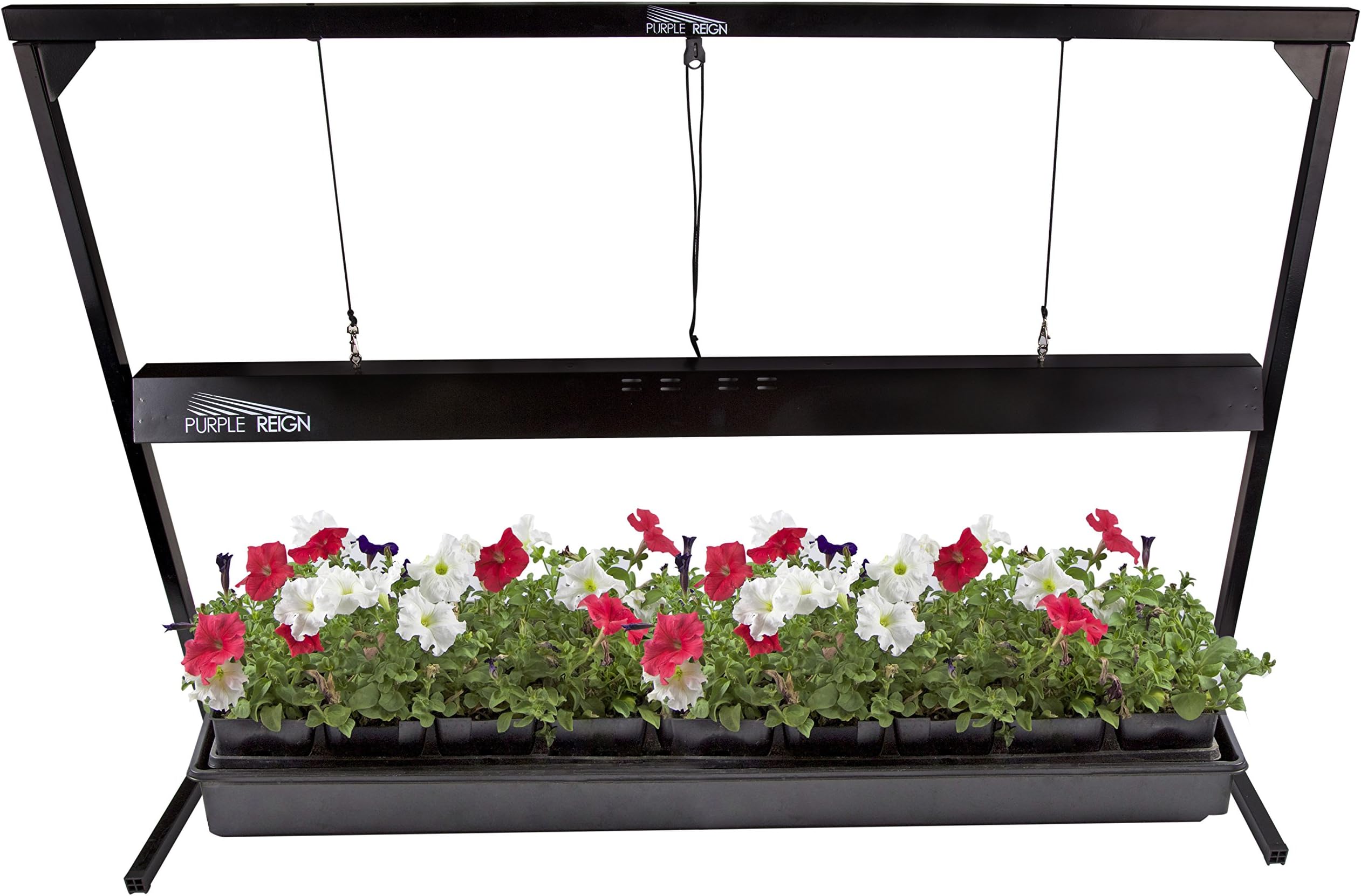 Apollo Horticulture Purple Reign 4' Foot 54W 6400K T5 Grow Light System for Plant Growing