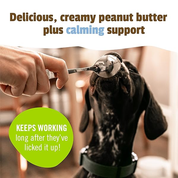 PET NATURALS BUSYBUTTER EASY SQUEEZE CALMING PEANUT BUTTER FOR DOGS 6OZ POUCH