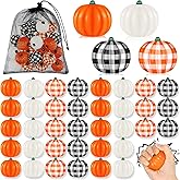 Leyndo 24 Pcs Thanksgiving Pumpkin Stress Balls Bulk Stress Relief Mini Foam Squeeze Ball Halloween Party Favors with Storage Bag for Bag Fillers Carnival Reward