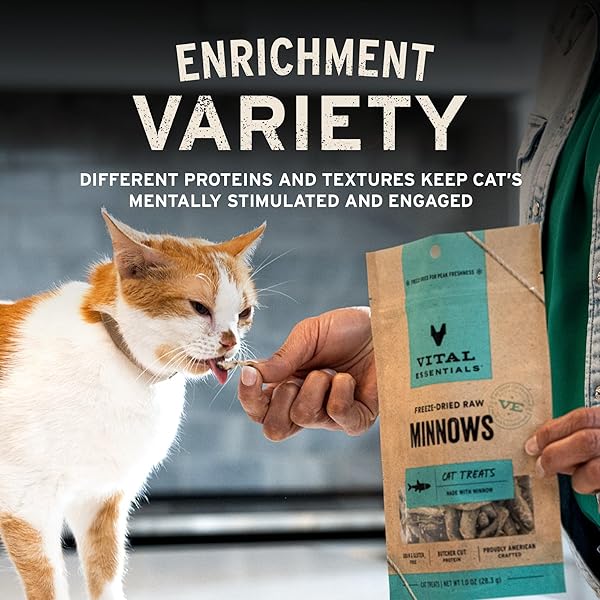 VITAL ESSENTIALS CHICKEN BREAST CAT TREATS, 1 OZ | FREEZE-DRIED RAW | SINGLE INGREDIENT | GRAIN FREE, GLUTEN FREE, FILLER FREE