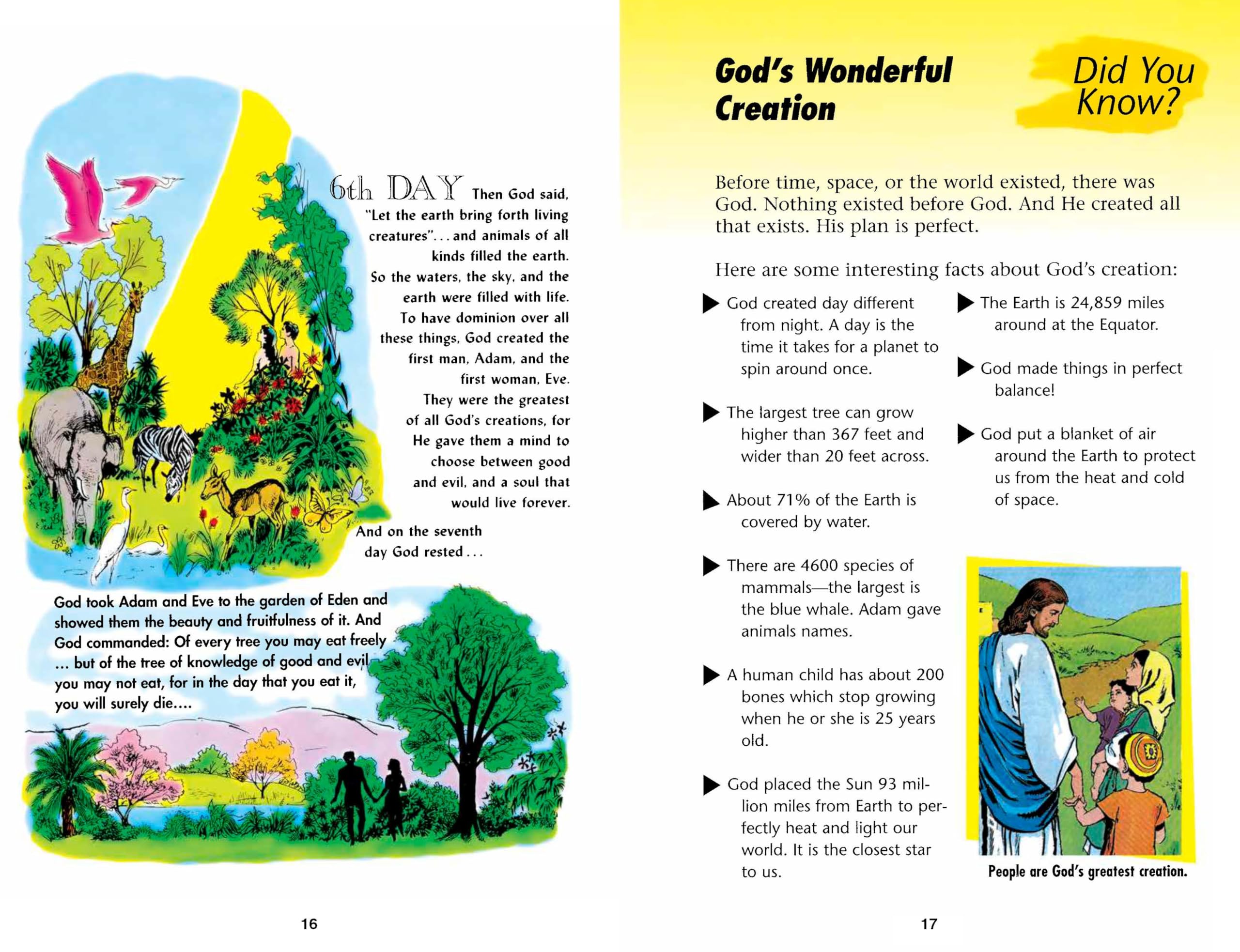 The Picture Bible The Picture Bible The Picture Bible Hardcover Paperback