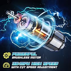 DEERC Brushless Remote Control Boat, 30+ mph Racing