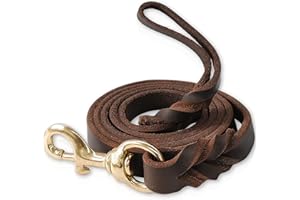 SFTORMAS Leather Dog Leash 5ftx3/4inch,Braided Leather Leash for Dogs,Soft Leather Training Dog Leash,Strong Leather Leash for Small Medium Large Breed Dogs(Brown)
