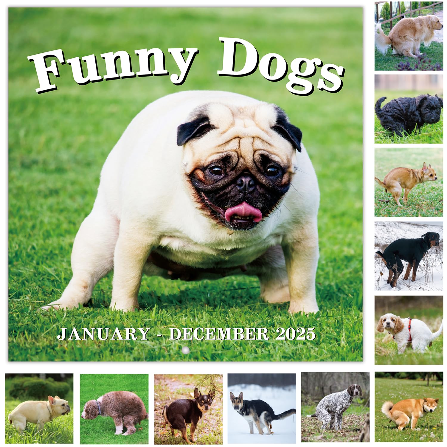Photo 1 of Coboll Gag Gifts - White Elephant Gag Gifts Calendar 2025, Pooping Dogs Calendar 2025 from January to December, 11.8'' x 11.8'' Gag Gift 2025 Calendar, Funny Gag Gifts for White Elephant