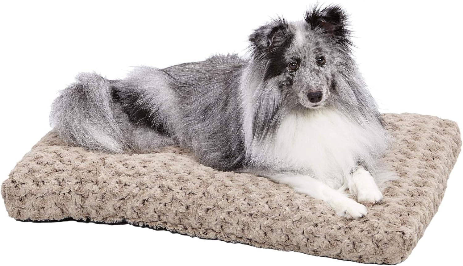 Plush Dog Bed | Ombré Swirl Dog Bed & Cat Bed | Mocha 29L x 21W x 2H-Inches for Medium Dog Breeds : Dog Bed : Pet Supplies