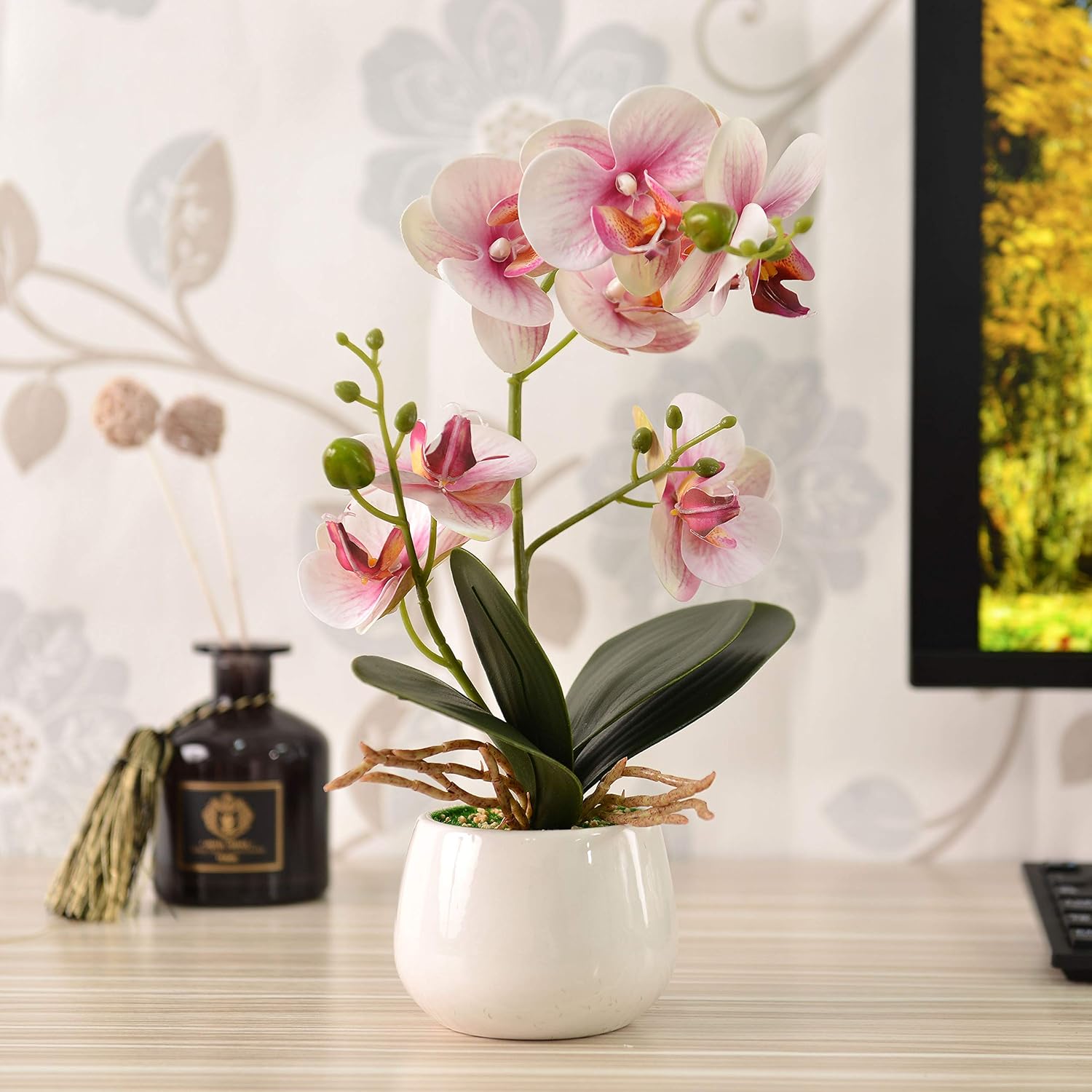 KINBEDY Artificial Bonsai Silk Orchids Phalaenopsis with Ceramics Vase Home Office Decoration Party Wedding Decor. Pink.