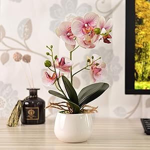 KINBEDY Artificial Bonsai Silk Orchids Phalaenopsis with Ceramics Vase Home Office Decoration Party Wedding Decor. Pink.