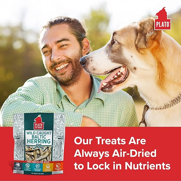 PLATO PET TREATS FISH DOG TREATS – AIR-DRIED, SINGLE INGREDIENT DOG TREAT – WITH OMEGA 3 & 6 FATTY ACIDS TO SUPPORT SKIN AND COAT – 100% WHOLE FISH – WILD CAUGHT BALTIC HERRING DOG TREATS – 8.5 OZ