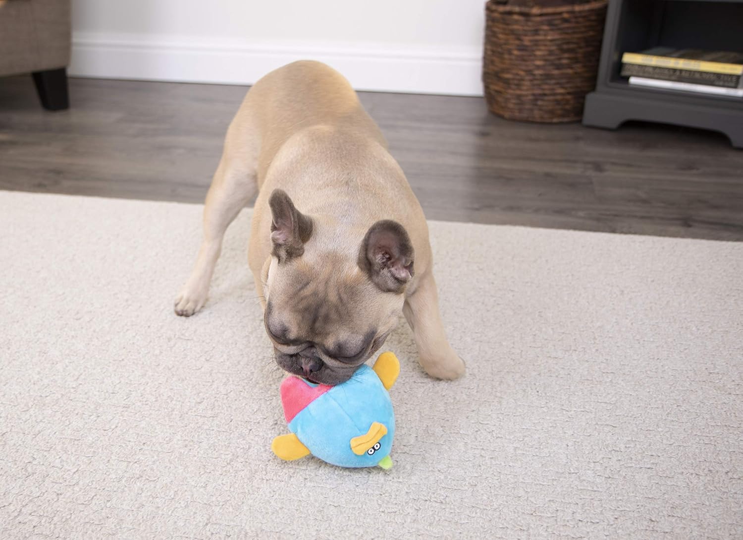 chew guard leash protector