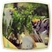 Angel Fish Aquarium : Relaxing Fish Aquarium