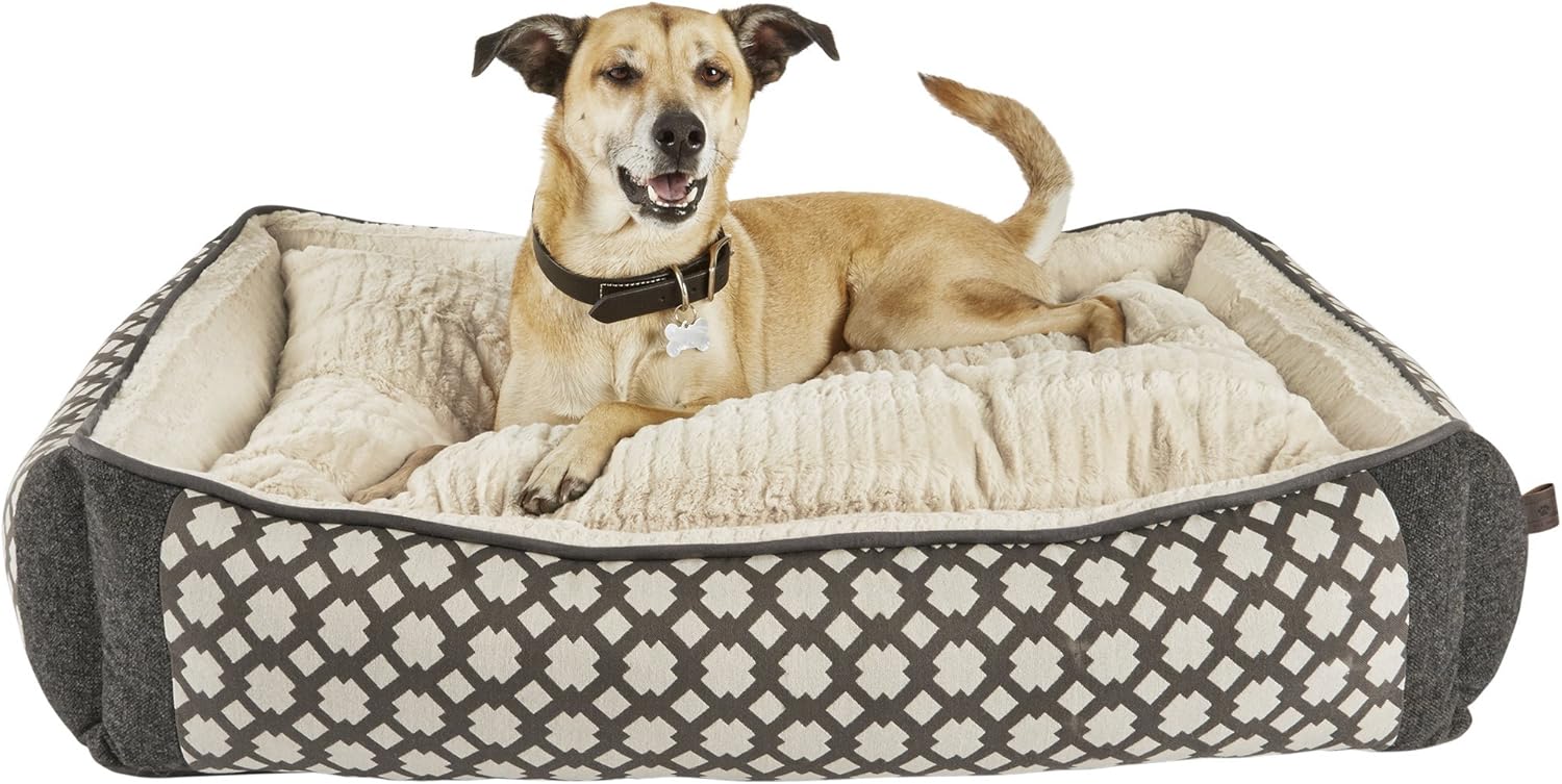 dalmatian puppies disney