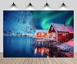 CHNYWORK 15ftx8ft Winter Night Landscape Backdrop