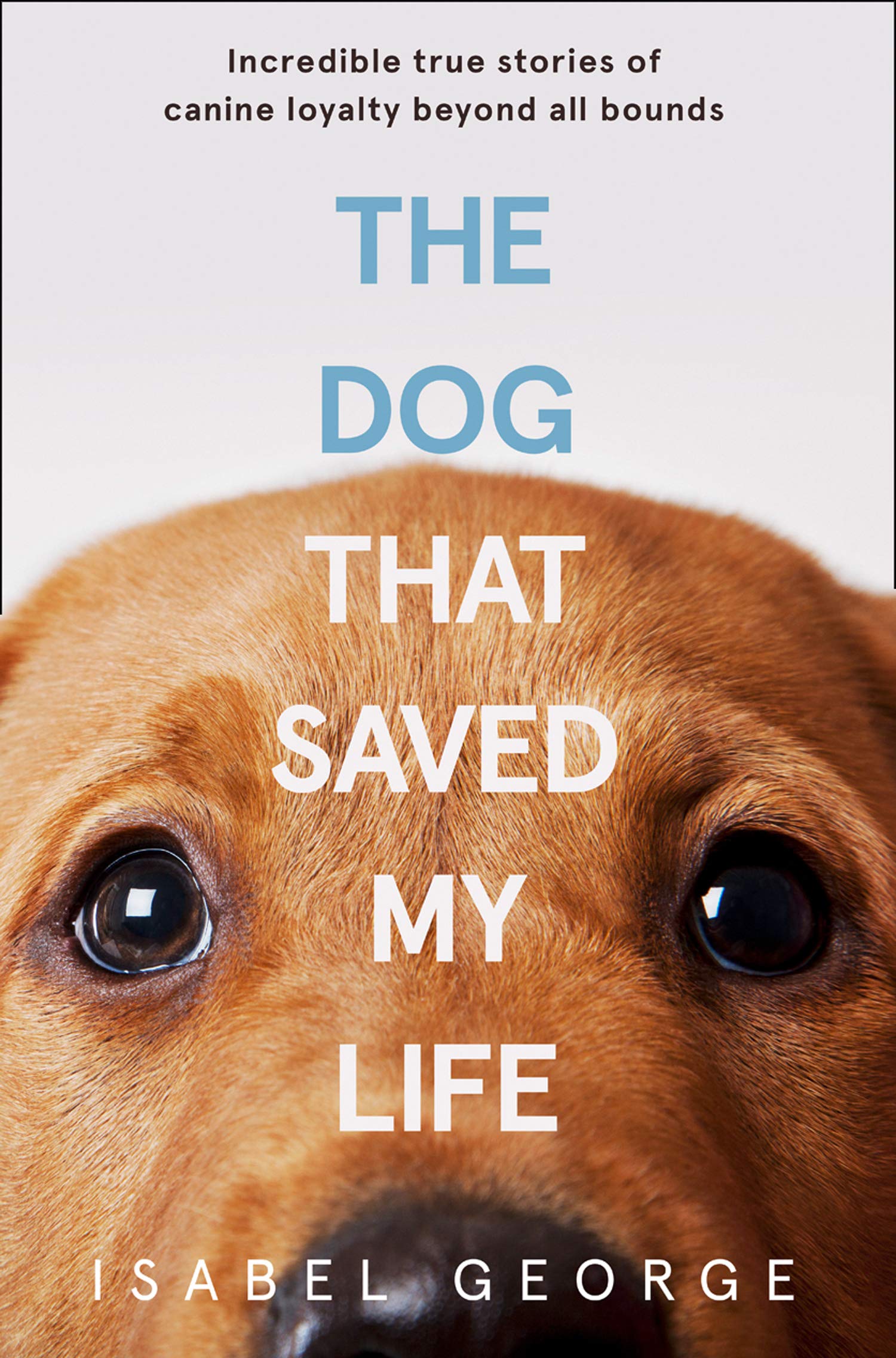 Amazon.com: The Dog that Saved My Life 