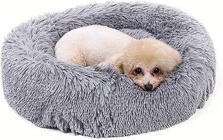 comfy dog bed anxiety