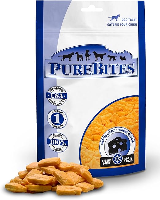 types of carnivorous fish