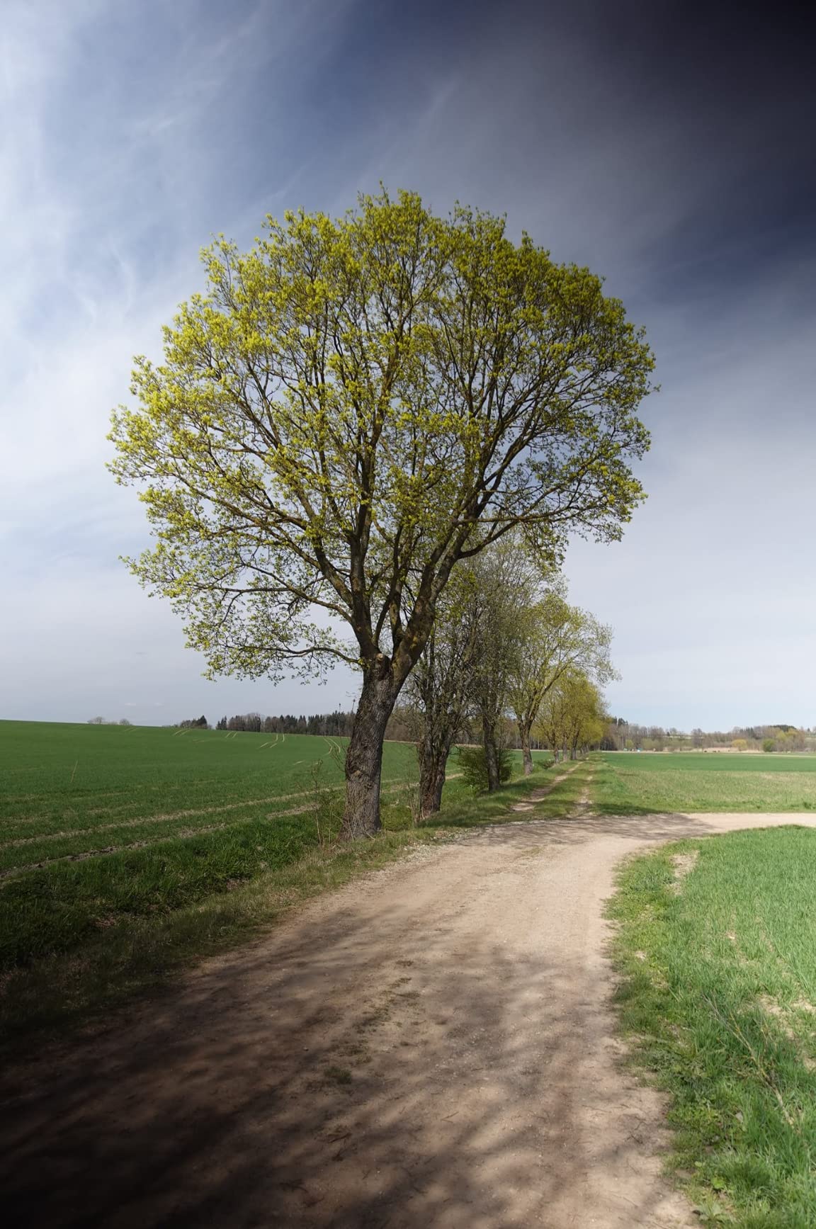Oändligt justerbar och perfekt för fantastiska foton och videor