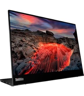 Lenovo ThinkVision M14d 14 WLED LCD Monitor - 16:10 - Raven