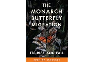 The Monarch Butterfly Migration: Its Rise and Fall