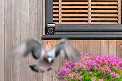 Bird Deterrent & Scarer