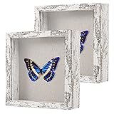 2 Packs 8x8 Shadow Box Frame with Linen Back