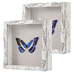 2 Packs 8x8 Shadow Box Frame with Linen Back