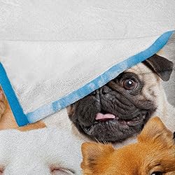 Ambesonne Dogs Throw Blanket, Funny Whimsical and