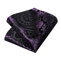 DiBanGu Silk Paisley Ties for Men Woven Necktie and