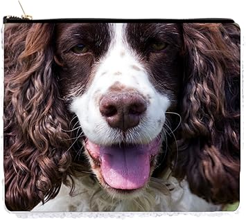 Amazon Com Long Haired Puppy Dog 2 Sided 6 5 X 8 White