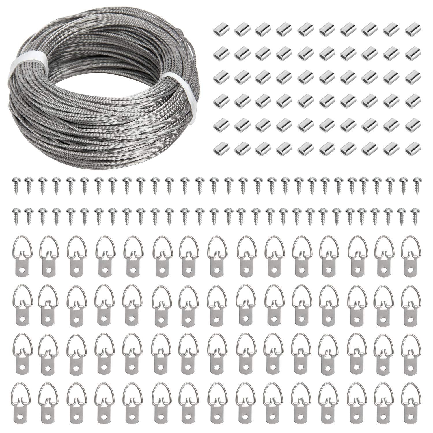 Blisstime Picture Hanging Kit - 100 Feet Braided Hanging Wire, 60 Pcs D Ring Picture Hangers with Screws and 60 Pcs Aluminum Crimping Loop Sleeve for Canvas Paintings, Photo Frames
