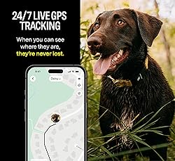 Fi Series 3 Smart Dog Collar - GPS Dog Tracker and