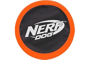 Nerf Dog Zone Flyer Dog Toy, Flying Disc, Lightweight, Durable and Water Resistant, Great for Beach and Pool, 10.5 inch Diameter, for Medium/Large Breeds, Single Unit, Orange/Black