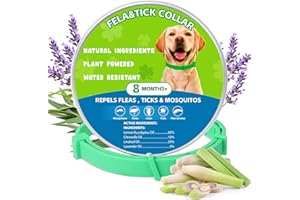 Trihood Natural Flea & Tick Prevention Dog Collars – 2-Pack Adjustable Waterproof Collars with Essential Oils (Lemon Eucalyptus, Citronella, Lavender, Linalool), Safe for All Breeds