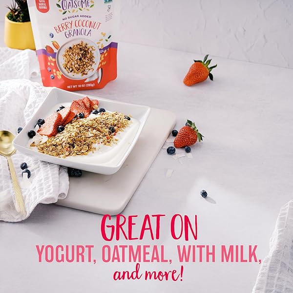 OATSOME BERRY COCONUT GRANOLA, NO SUGAR ADDED, GLUTEN FREE, 6G PROTEIN, MADE WITH WHOLE GRAIN ORGANIC OATS, COCONUT, STRAWBERRIES, BLUEBERRIES, FOR PROTEIN SNACKS CEREALS BREAKFAST YOGURT, 10 OZ BAG