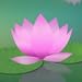 Learn to Meditate - Five Week Course
