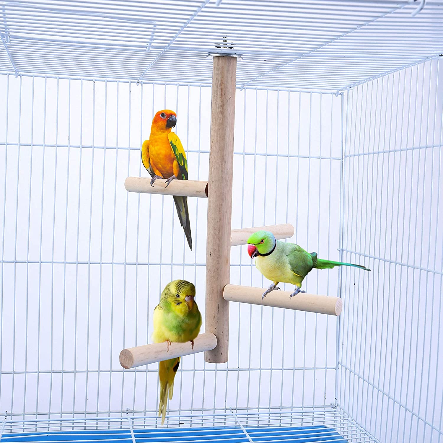 Budgie Toys Parrot Perches Bird Paw Grinding Stick Wooden Bird Perch for Cage Stand Set with 4 Wood Stick Stands Ladder Budgie Perch for Cockatiel Parakeets Play Jumping Rest Birdcage Accessories