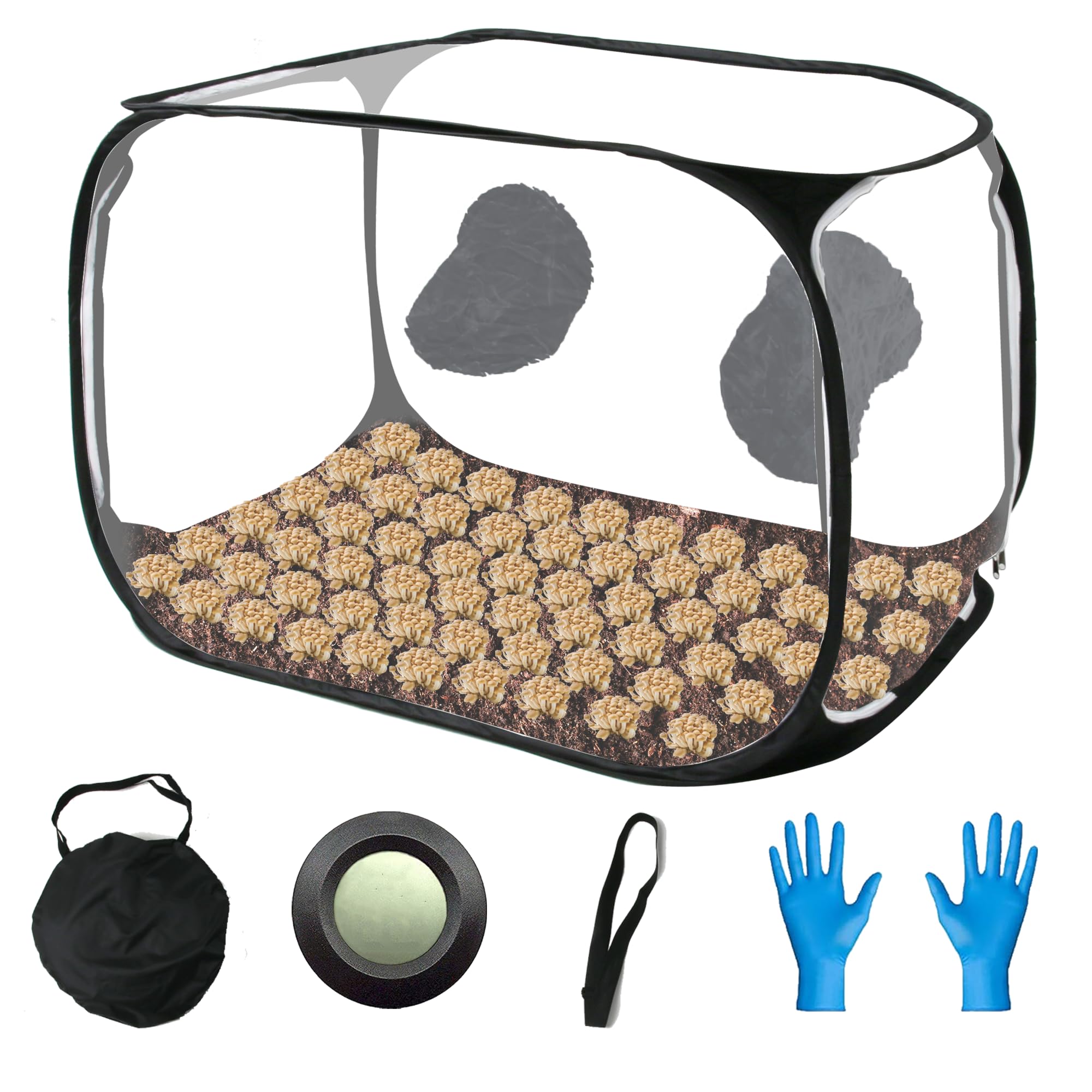 Photo 1 of Toboom Portable Still Air Box Mycology with Pop Up Mushroom Growing Kit - Ideal for Mushroom Cultivation in Office and Mycology Enthusiasts (Black)
