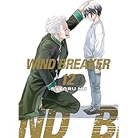 WIND BREAKER 11 : Nii, Satoru: Amazon.ca: Books
