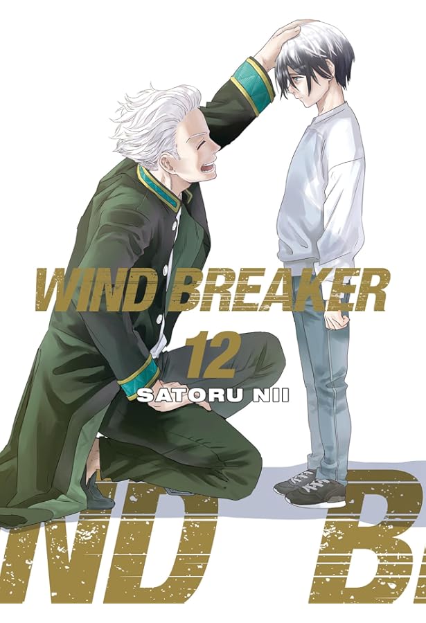 WIND BREAKER 13: Nii, Satoru: 9781646519606: Amazon.com: Books