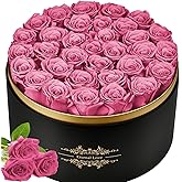 Jibeufi 33 Preserved Flowers Rose Forever Gifts for Her, Forever Roses in a Box for Women Delivery Prime Birthday Anniversary, for Women, Mom, Girl Friend (Pink)