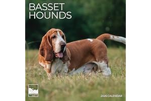 Basset Hound 2026 Wall Calendar 12 Month | 12" x 24" Open | Dog Photography Thick & Sturdy Paper for Organizing & Planning | Office Kitchen Decor or Gift | Pacific Waters Press