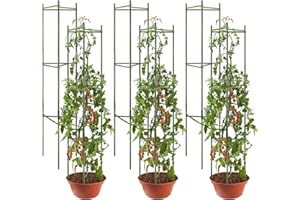 flowlamp 6 Packs Tomato Cages Supports, Tomato Plant Support Deformable Assembled Tomato Stakes, Up to 48Inch Multi-Functional Tomato Cage for Garden Plant Support Stakes