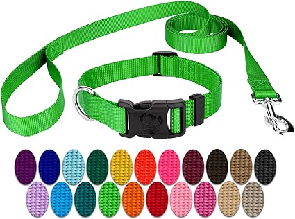Lime green dog collar and leash Clearance