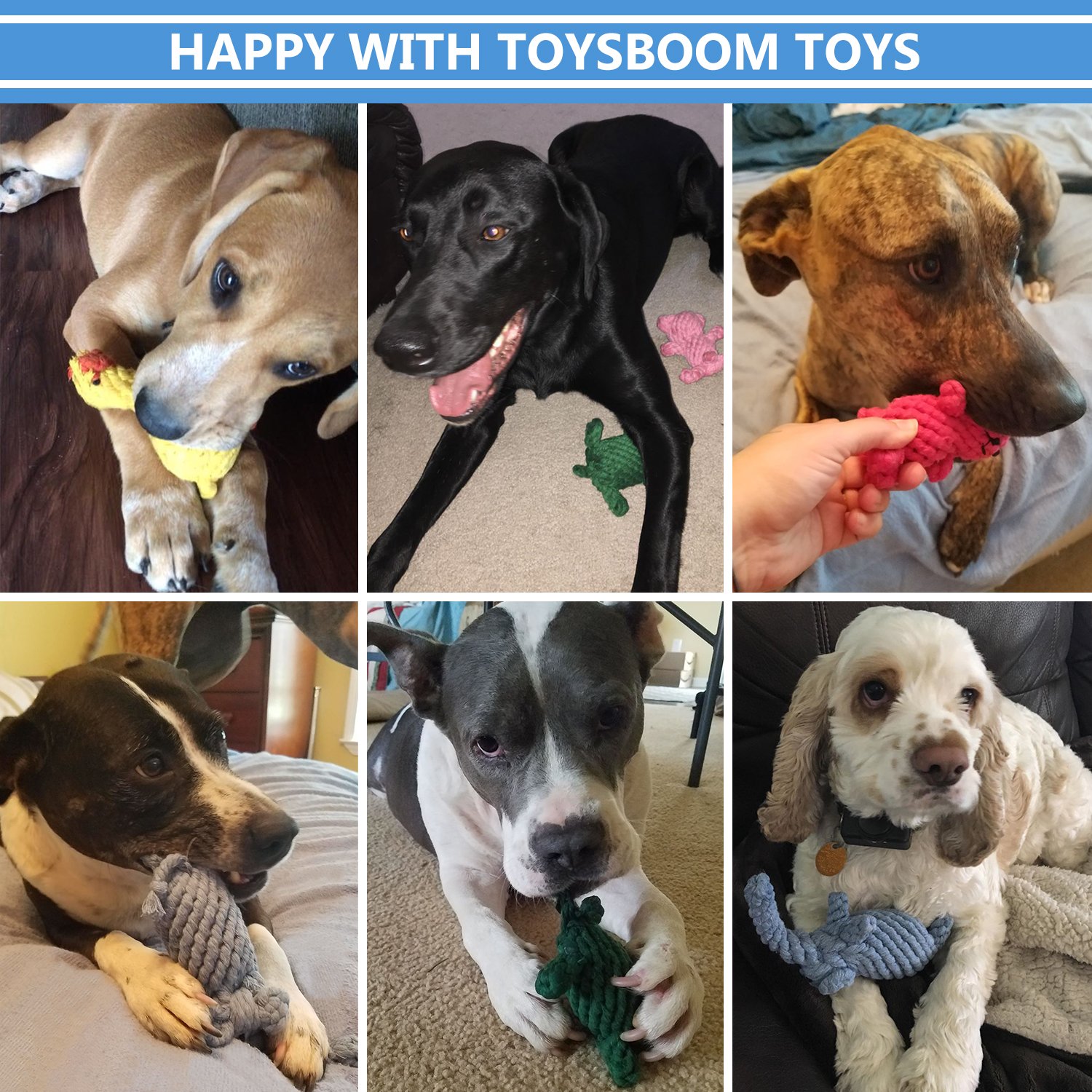 TOYSBOOM Dog Rope Toys Cute Animals Design, Cotton Puppy Toys for Small Dogs. Rope Dog Toy Set ...
