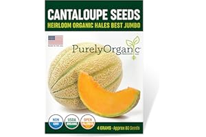 PURELY ORGANIC PRODUCTS LLC Organic Cantaloupe Seeds (Hales Best Jumbo) - Approx 80 Seeds - USDA Organic, Non-GMO, Open Pollinated, Heirloom, USA Origin